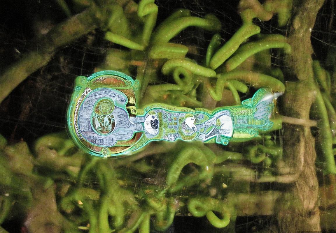 哪里kingworld客户端-哪里kingworld客户端下载安装-哪里kingworld客户端